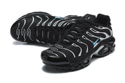 Nike Air Max Plus Black and Silver Sneakers