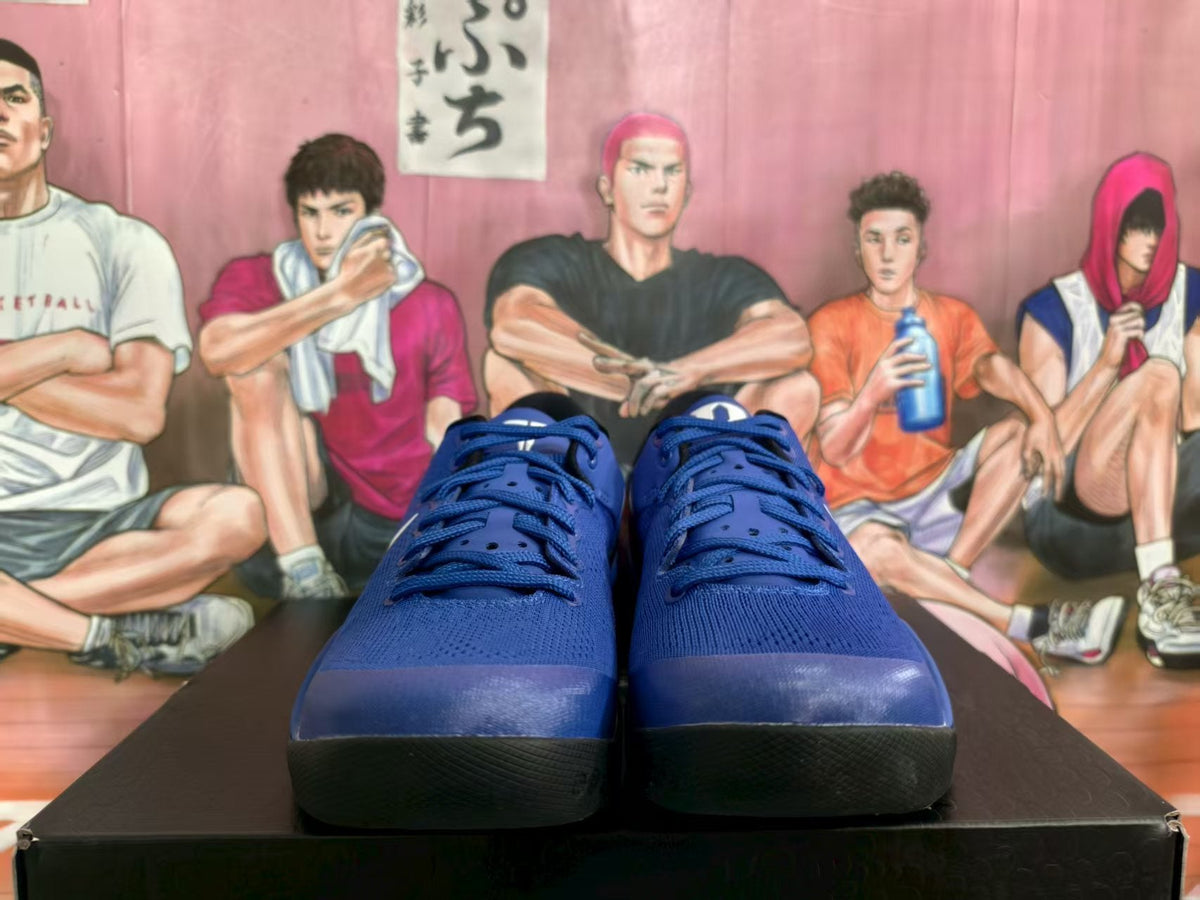 Nike Basketball Sneakers Duke Blue EU 40-48.5