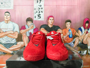 Nike LeBron Basketball Shoes in Red and Black