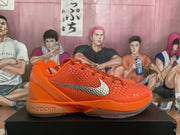 Nike Zoom Basketball Sneakers Orange