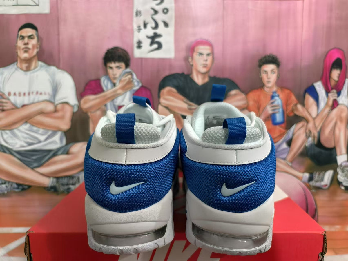 Nike White and Blue Sneakers