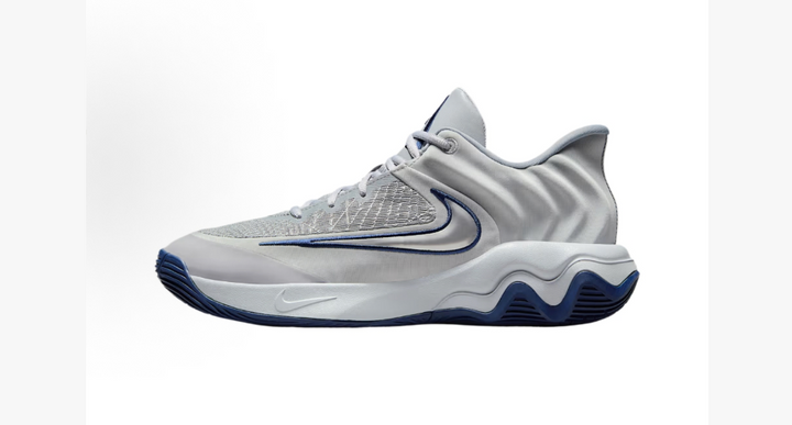Nike FQ3681-008 Gray Basketball Shoes