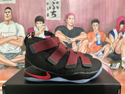 Nike LeBron Basketball Sneakers Black Red