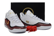 Nike LeBron 23 Basketball Shoes in Multiple Colorways