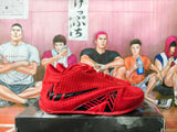 Nike LeBron Basketball Shoes in Red and Black