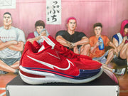 Nike LeBron Basketball Shoes Red USA Colorway
