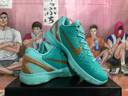 Nike Zoom Basketball Shoes in Turquoise and Bronze