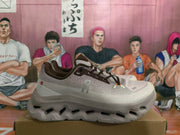 On Cloud Sneakers Gray White