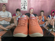 Nike Davis PE Basketball Sneakers Coral Green