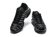 Nike Air Max Plus Black and Silver Sneakers