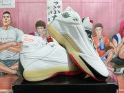 Jordan Air Jordan 17 Low Chicago Basketball Shoes