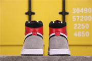 Air Jordan 1 High Light Smoke Grey 555088-126