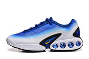 Nike Blue and White Air-Cushioned Sneakers
