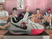 Nike LeBron XX Low Basketball Shoes Grey Pink
