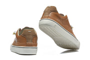 Brown Low-Top Lace-Up Sneakers with Contrast Toe Cap