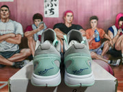 Nike Basketball Sneakers Grey Mint Horse Graphic